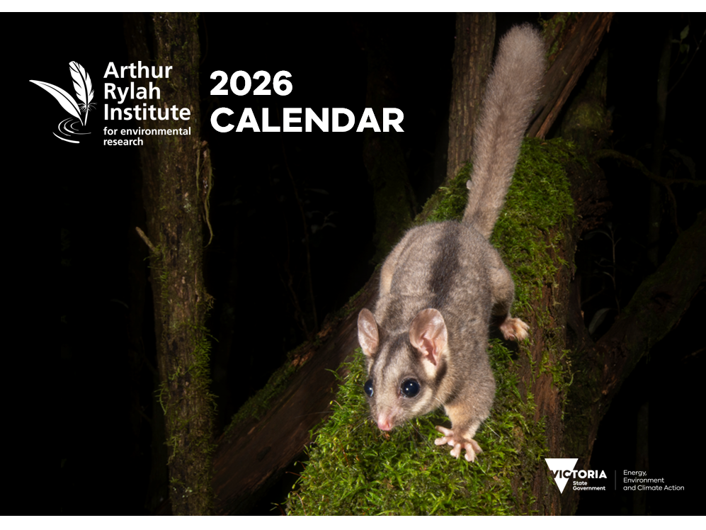 ARI calendar 2026 cover