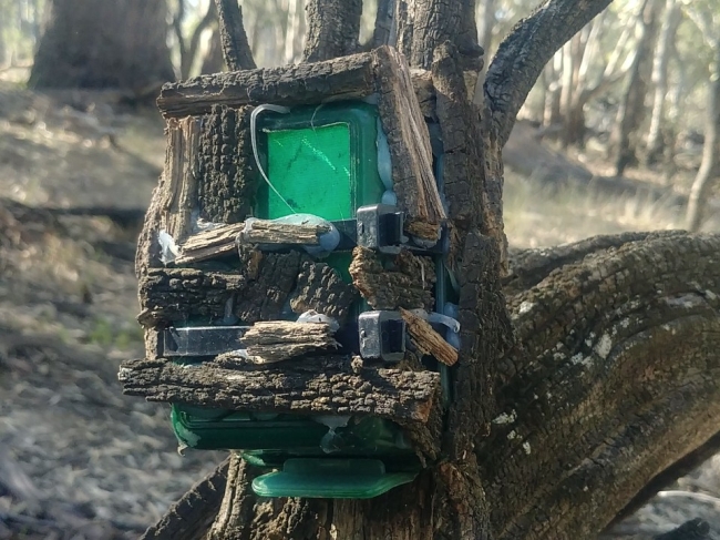 Audiomoth listening equipment attached to a log