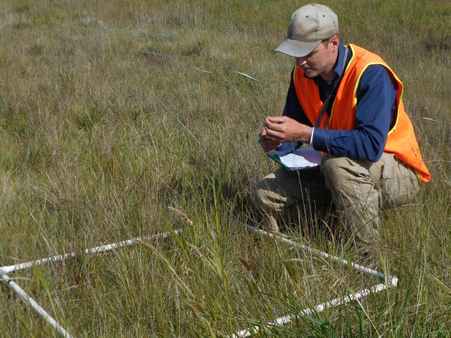 Person kneeling and looking at grass