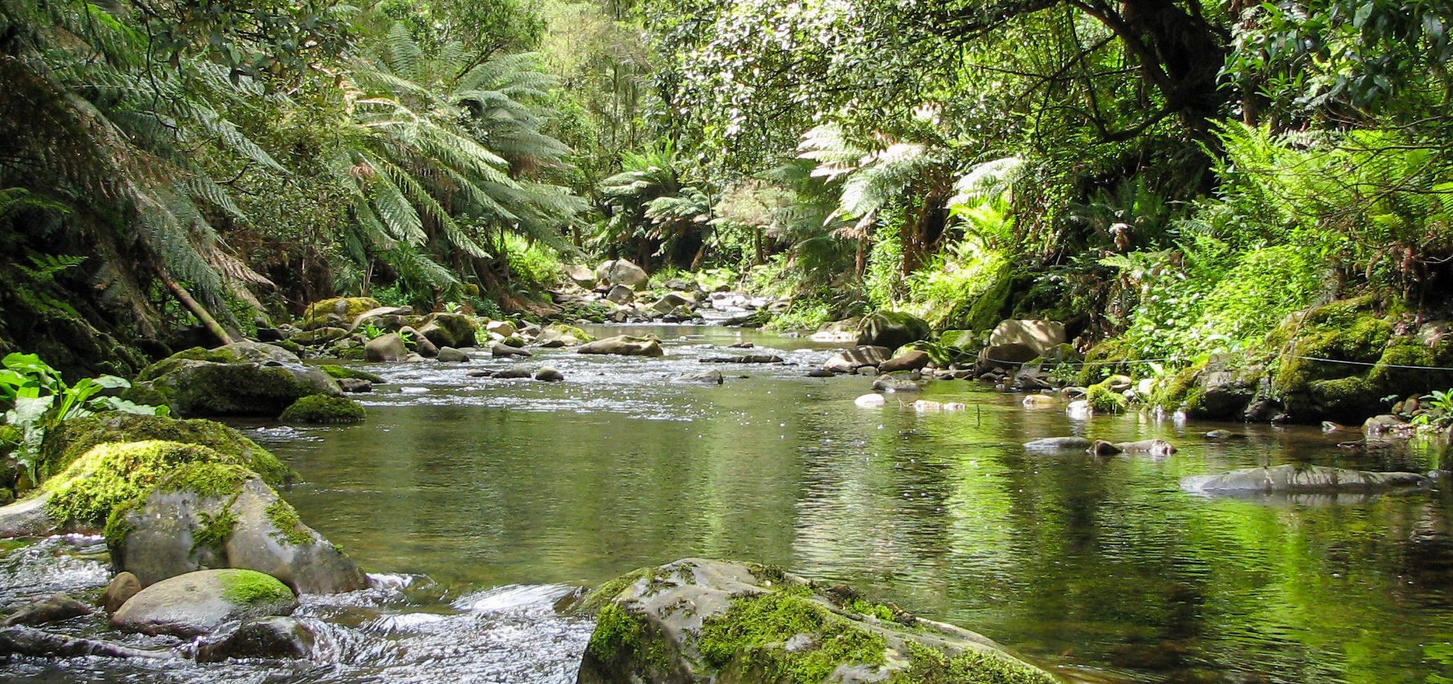Smythe river