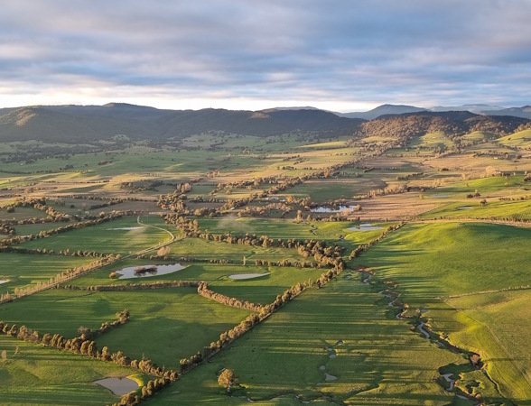 Farmland