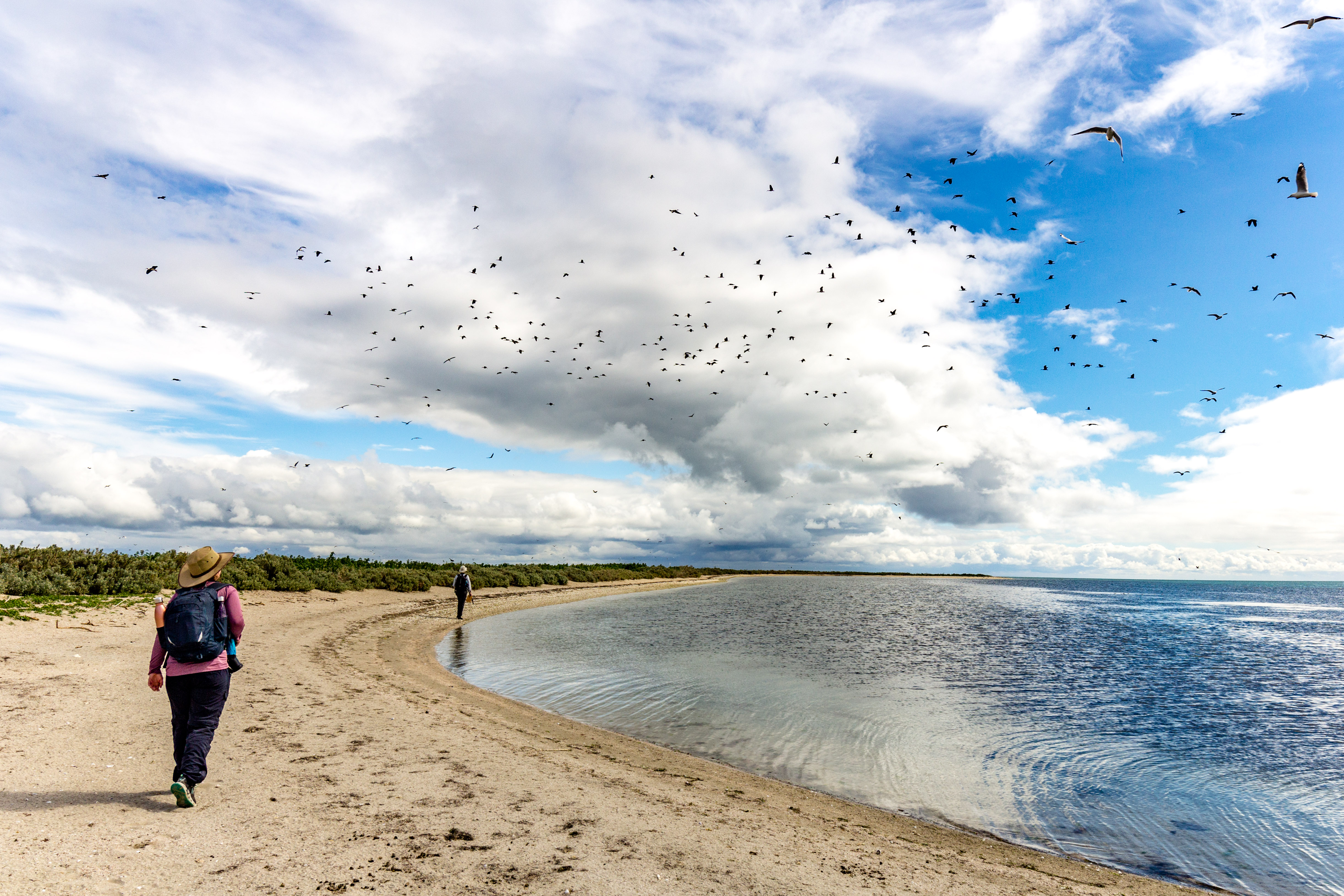 Mud Island coast