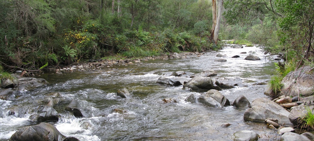 Flowing river resized