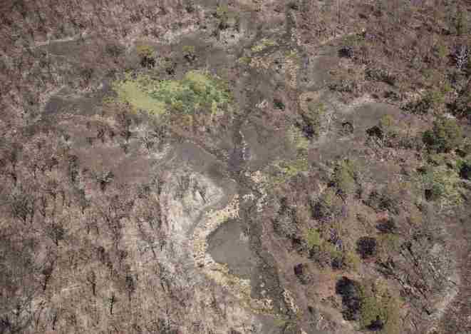 Alpine area, Forlorn Hope, burnt in the 2020 bushfires (photo by Parks Victoria)