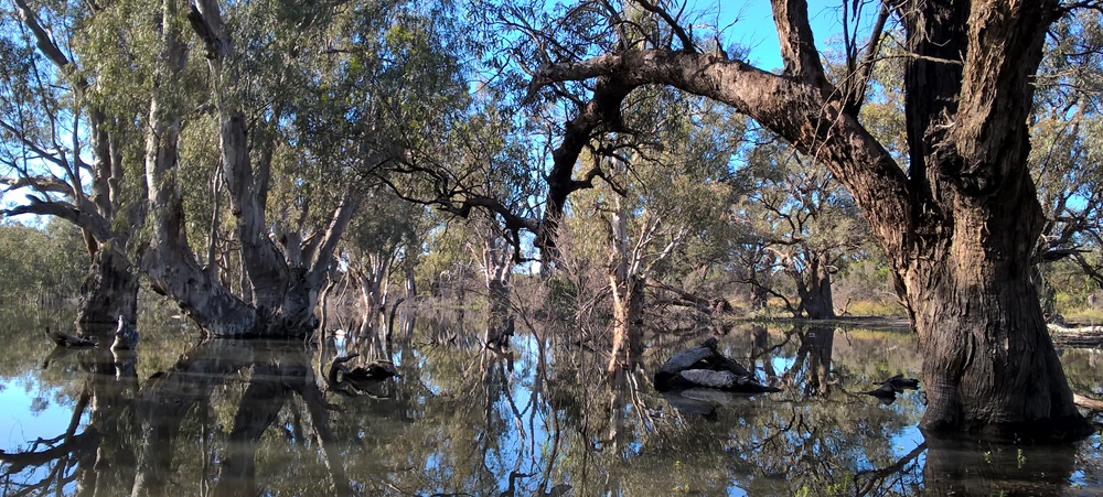 Lake Mournpall