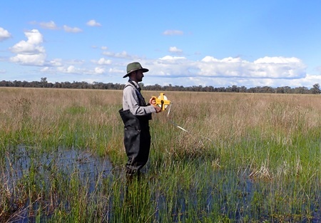 Wetland vegetation survey