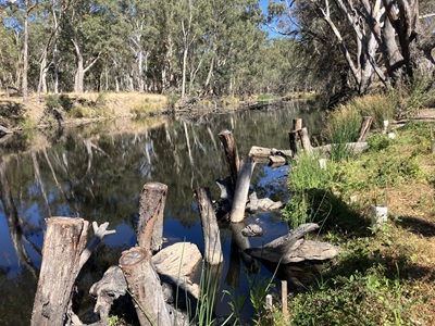 Instream woody habitat installed