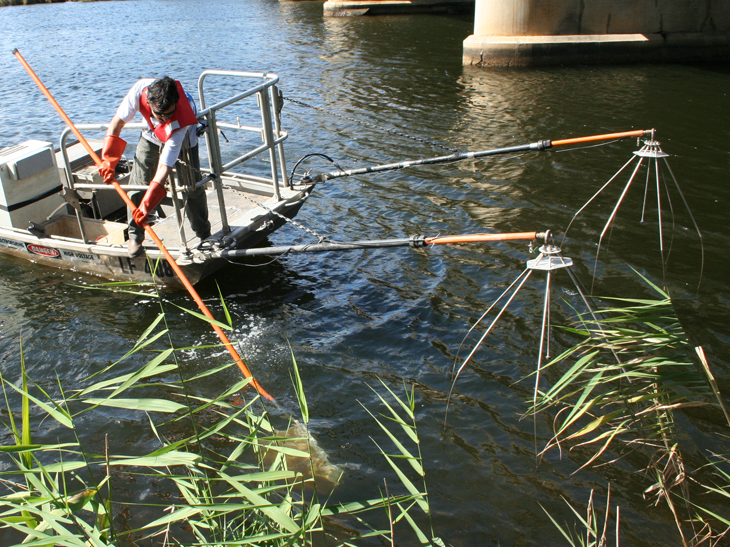 The Grassl electrofishing unit in operation in the Nicholson River estuary
