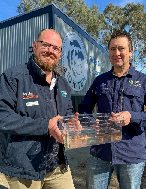 Sam Fawke, VFA and Jarod Lyon ARI with Murray Spiny Craylings at the Conservation Hatchery (Photo: DEECA)