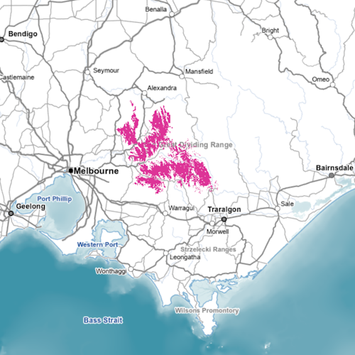 Leadbeaters Possum habitat distribution map as on NatureKit