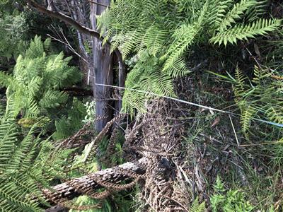 Transect for windstorm monitoring