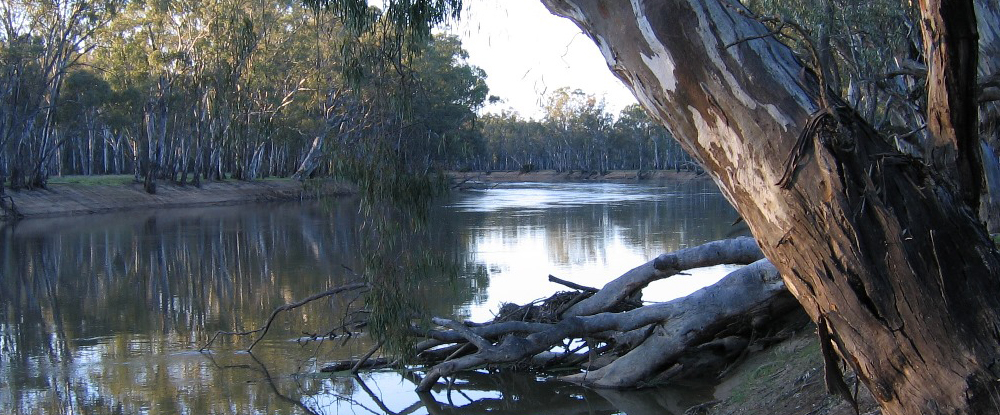 Murray River at Gunbower