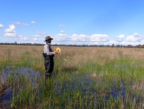 Survey at a wetland