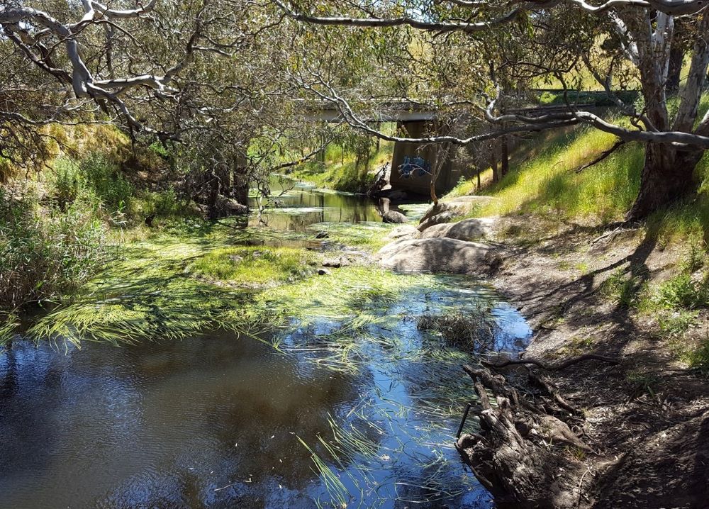 A river studied during environmental watering research