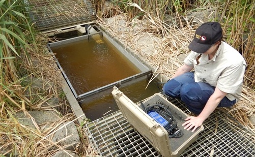 Survey at vertical slot fishway