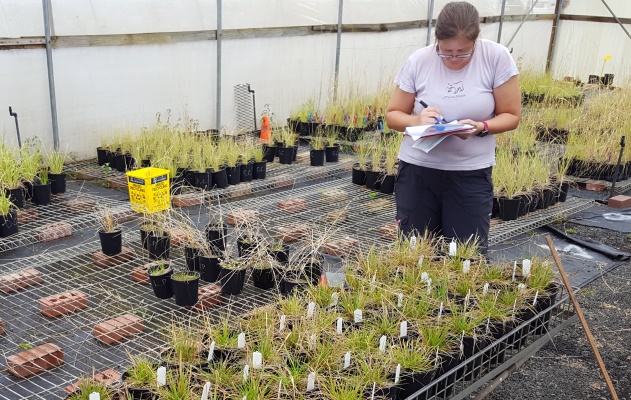 VEFMAP - taking notes during a vegetation inundation experiment