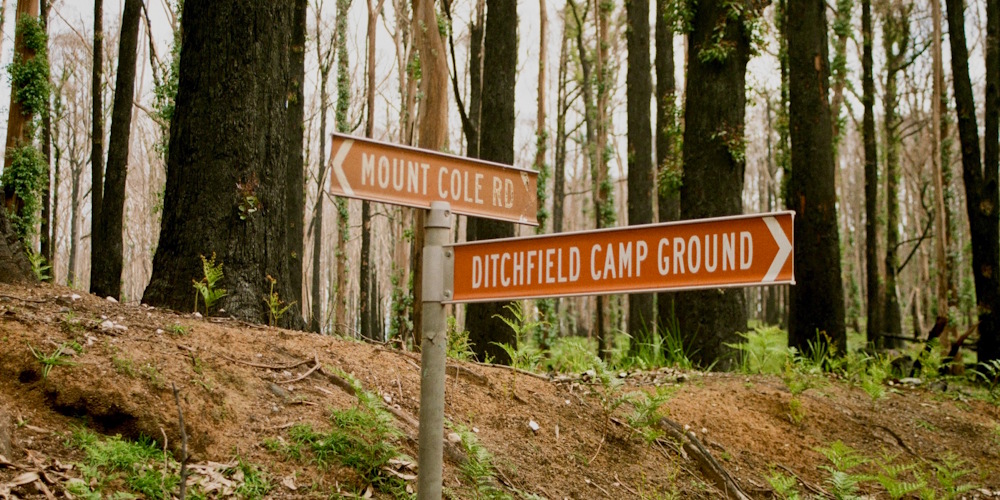 Track signs after bushfire