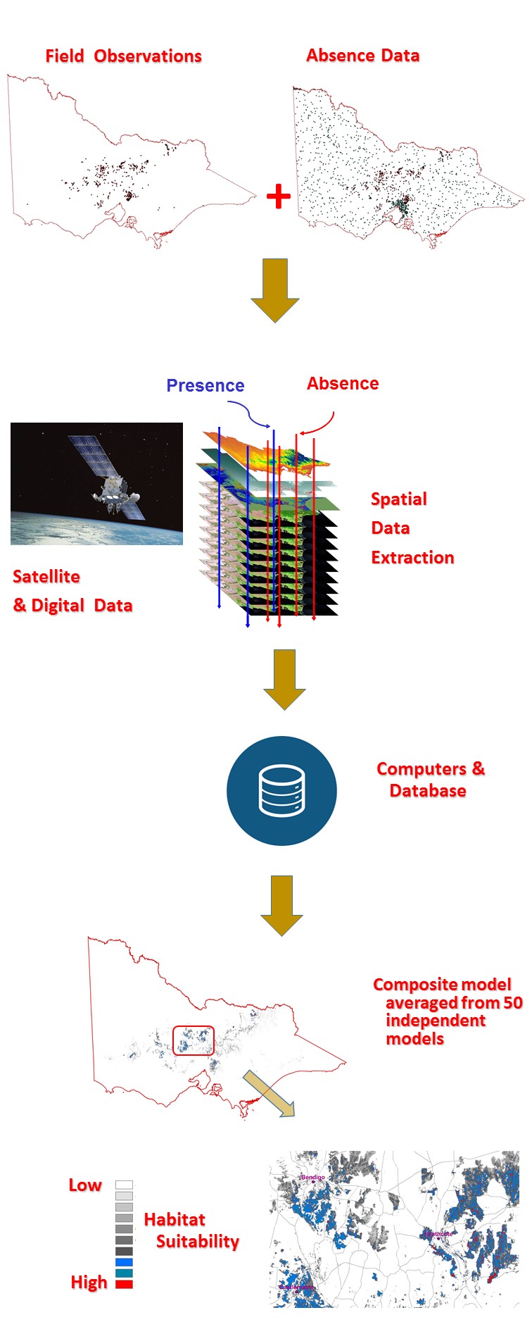 The process of constructing a habitat distribution model