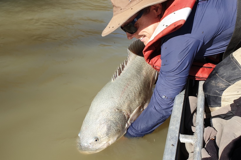 Releasing a cod during environmental water research