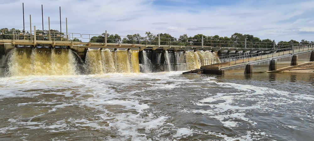 Mildura Weir and fishway